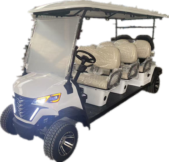 2026 Innovative Golf Tour Bus for Ultimate EV Sightseeing Bus
