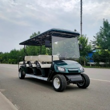 新能源度假村酒店机场定制电机电动高尔夫球车