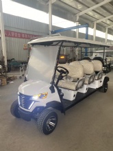 2026 Innovative Golf Tour Bus for Ultimate EV Sightseeing Bus