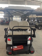2026 Innovative Golf Tour Bus for Ultimate EV Sightseeing Bus