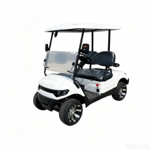 Hotel Resort Scenic Spot Transport 2 Wheel Row Compact Silent Electric Golf Cart Hotel Resort Scenic Spot Transport 2 Wheel Row Compact Silent Electric Golf Cart
