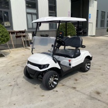 Hotel Resort Scenic Spot Transport 2 Wheel Row Compact Silent Electric Golf Cart
