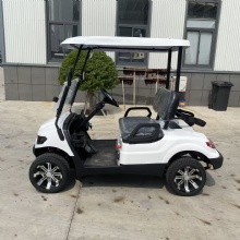 Hotel Resort Scenic Spot Transport 2 Wheel Row Compact Silent Electric Golf Cart