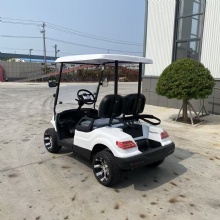 Hotel Resort Scenic Spot Transport 2 Wheel Row Compact Silent Electric Golf Cart