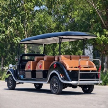 11 Seater Vintage Electric Sightseeing Car