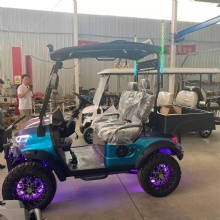 Chameleon Color 2 Seater Lifted off-Road Electric Golf Cart