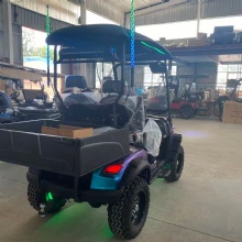 Chameleon Color 2 Seater Lifted off-Road Electric Golf Cart