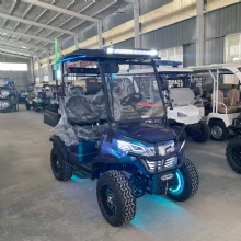 TWO-Seater High Clearance Chameleon paint electric golf cart