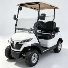 New Model D Electric 2 Seater Aluminum Frame Electric Golf Cart New Model D Electric 2 Seater Aluminum Frame Electric Golf Cart