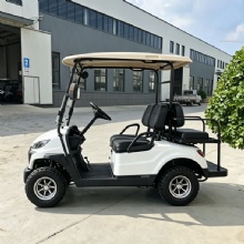 New Model D Electric 2 Seater Aluminum Frame Electric Golf Cart