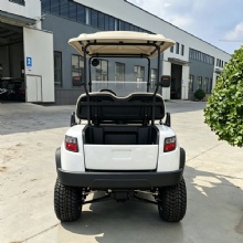 New Model D Electric 2 Seater Aluminum Frame Electric Golf Cart